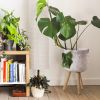 Wicker Planter Basket w Removable Legs for Indoor and Outdoor - All Weather Woven Flower Pots Cover