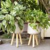 Wicker Planter Basket w Removable Legs for Indoor and Outdoor - All Weather Woven Flower Pots Cover