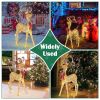 Christmas Deer