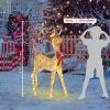 Christmas Deer