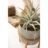 Set Of Three Woven Metal Planters With Wood Stands