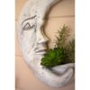 Clay Moon Wall Planter