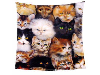 band and cat league fashion cartoon blanket beach mat blanket baby blanket (size: 150x120)