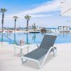 Domi Patio Chaise Lounge Outdoor Aluminum Polypropylene Chair with Adjustable Backrest,for Beach