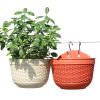 Flowerpot Fade-less Fall-resistant Ornamental Drain Hole Eco-friendly Plant Pot Plant Accessories