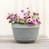 Flowerpot Fade-less Fall-resistant Ornamental Drain Hole Eco-friendly Plant Pot Plant Accessories